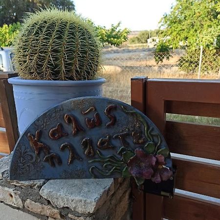 Cactus Home Kalamaki  Eksteriør billede
