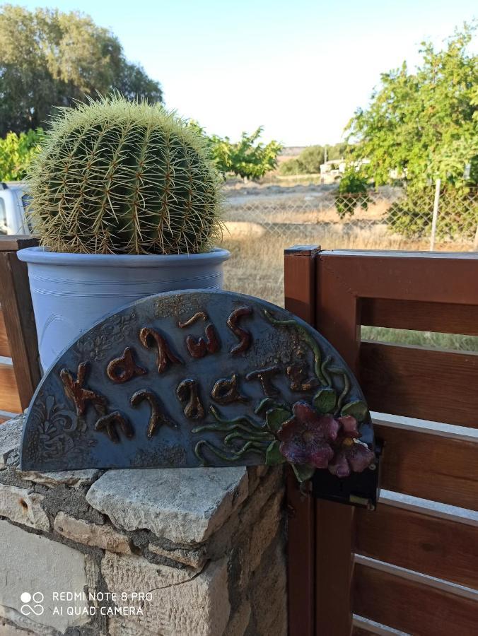 Cactus Home Kalamaki  Eksteriør billede
